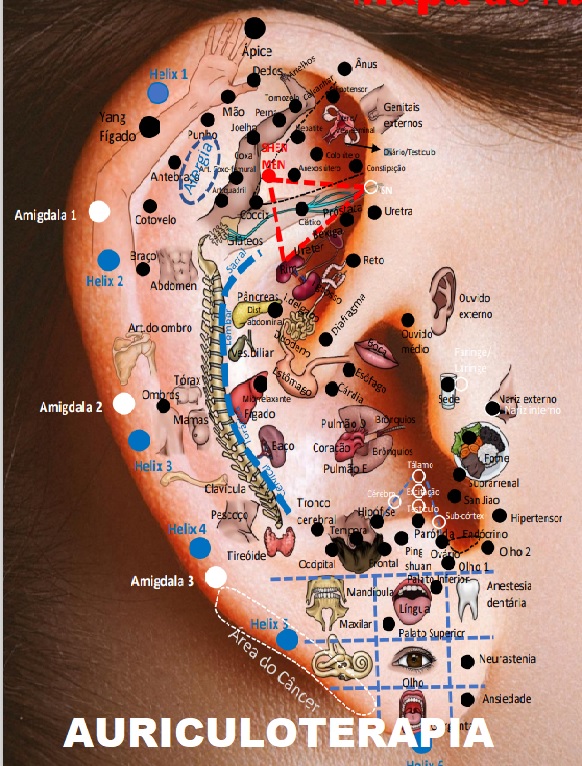 Auriculo mapa.jpg